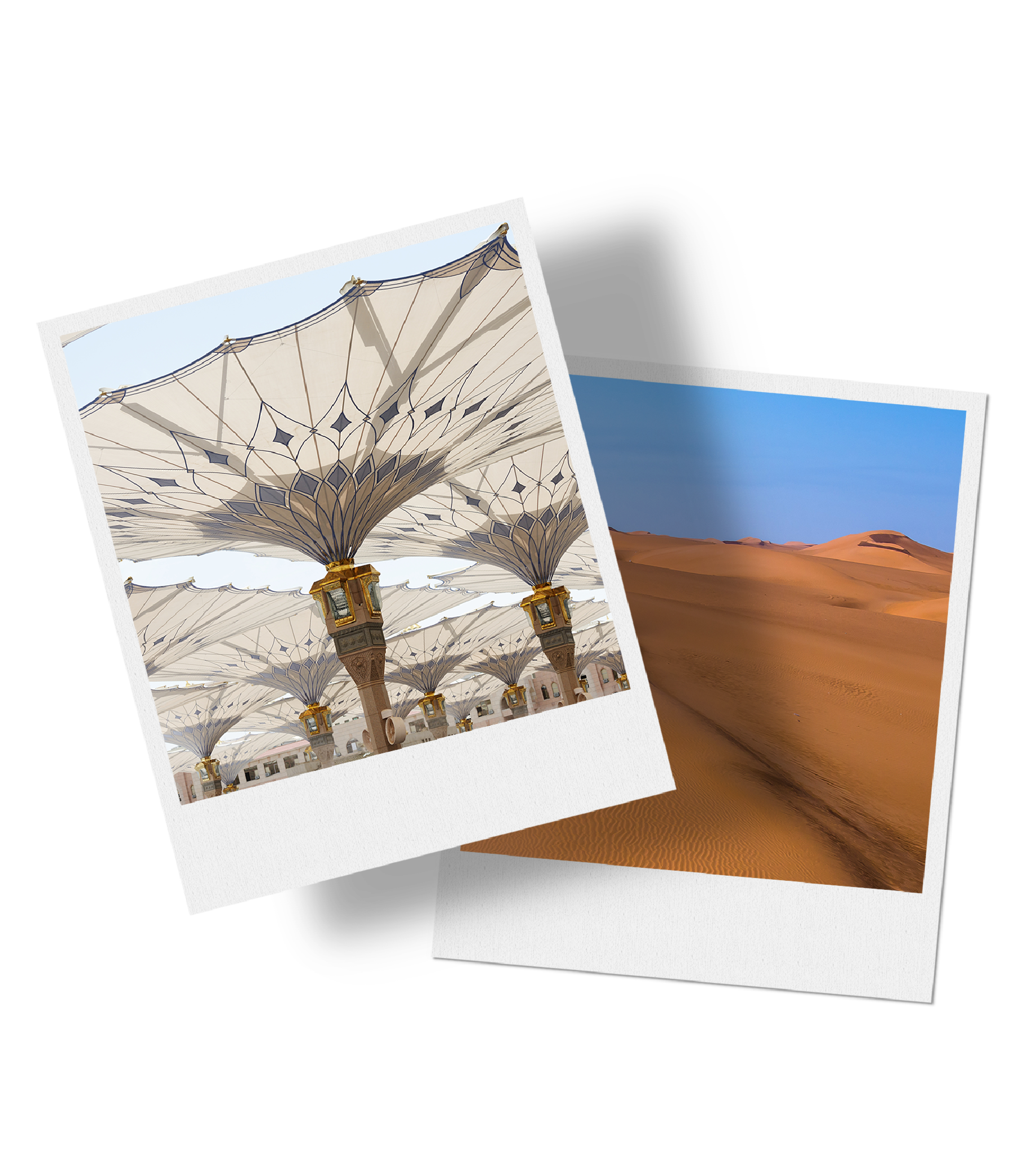 DM VISA VISITES